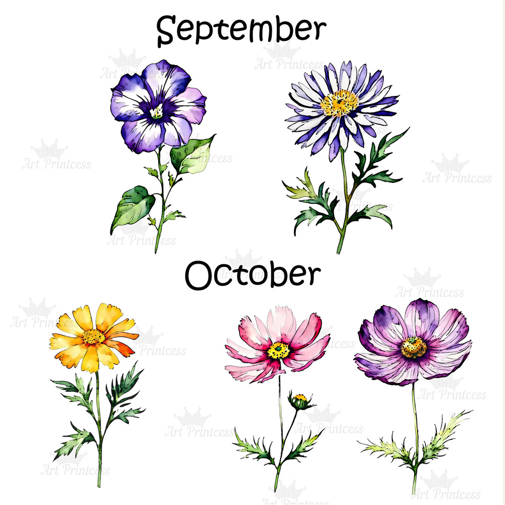 Watercolor Ink Birth Month Flower Clipart Birth Month Flower Transparent Background Free Commercial 5