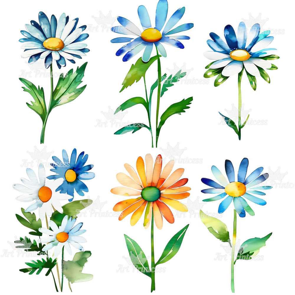 Daisy Flowers Watercolor PNG Clipart Bundle Digital Download Abstract Spring Floral Clip Art For Su 5
