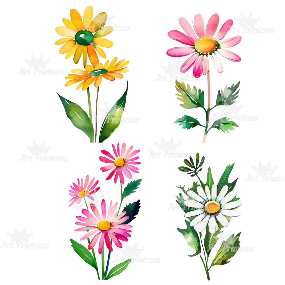 Daisy Flowers Watercolor PNG Clipart Bundle Digital Download Abstract Spring Floral Clip Art For Su 6