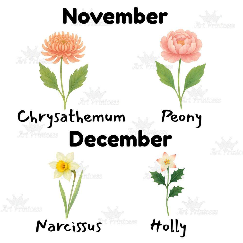 Birth Month Flowers Clipart PNG Bundle Watercolor Floral Botanical Illustrations PNG Transparent Ba 7