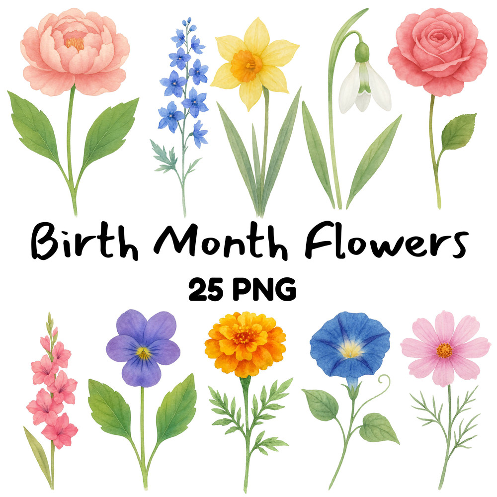 Birth Month Flowers Clipart PNG Bundle Watercolor Floral Botanical Illustrations PNG Transparent Ba 1