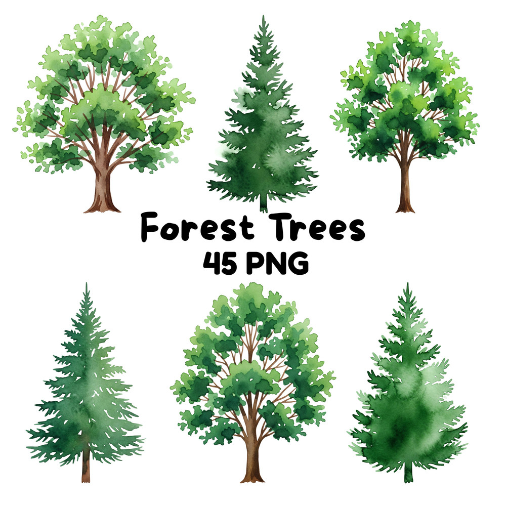 Forest Trees Clipart Bundle 45 Watercolor PNGs With Transparent Background Evergreen  Deciduous Tre 0