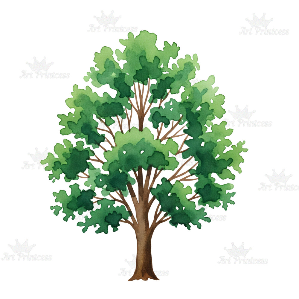 Forest Trees Clipart Bundle 45 Watercolor PNGs With Transparent Background Evergreen  Deciduous Tre 2