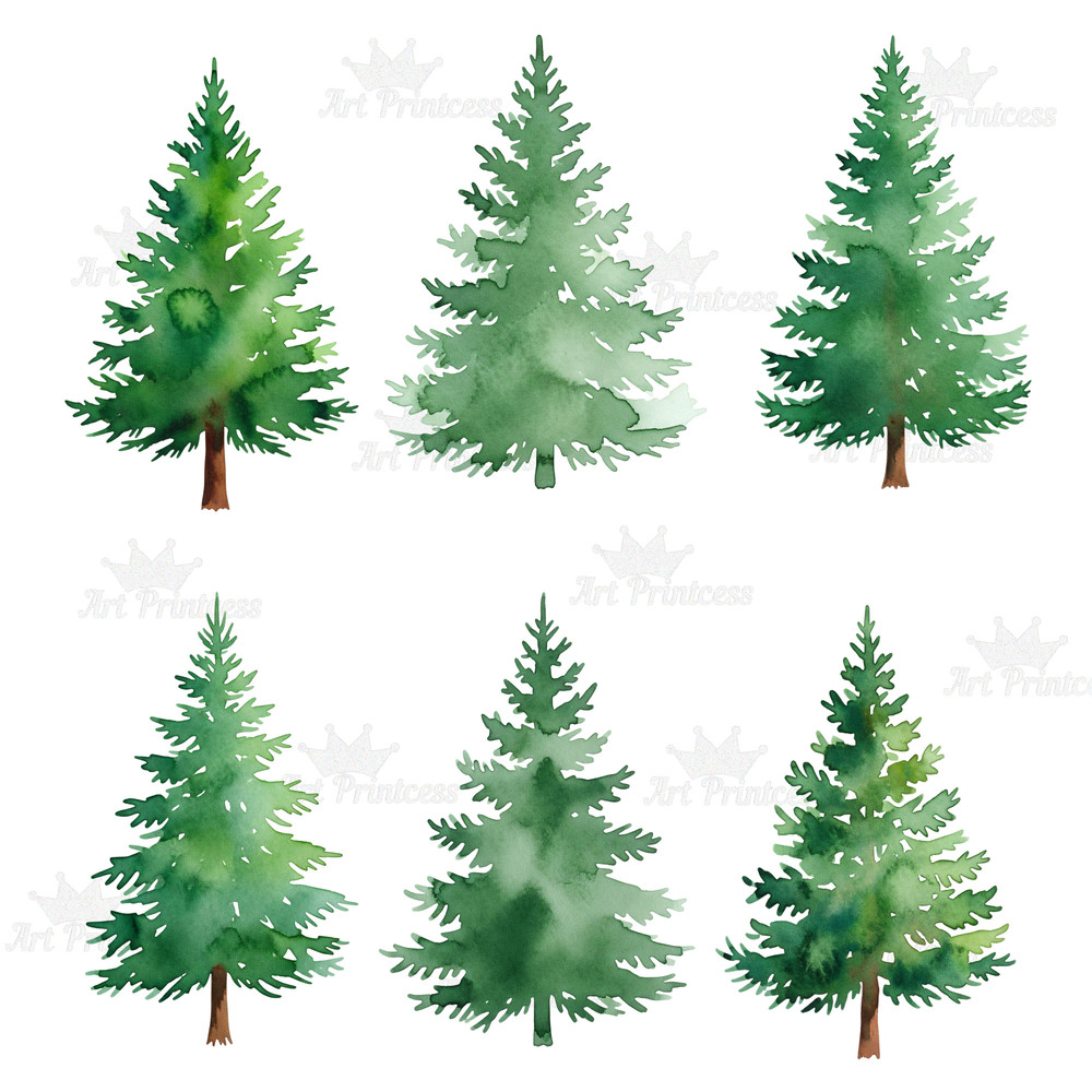 Forest Trees Clipart Bundle 45 Watercolor PNGs With Transparent Background Evergreen  Deciduous Tre 4