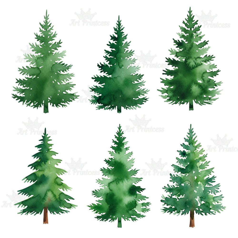 Forest Trees Clipart Bundle 45 Watercolor PNGs With Transparent Background Evergreen  Deciduous Tre 5