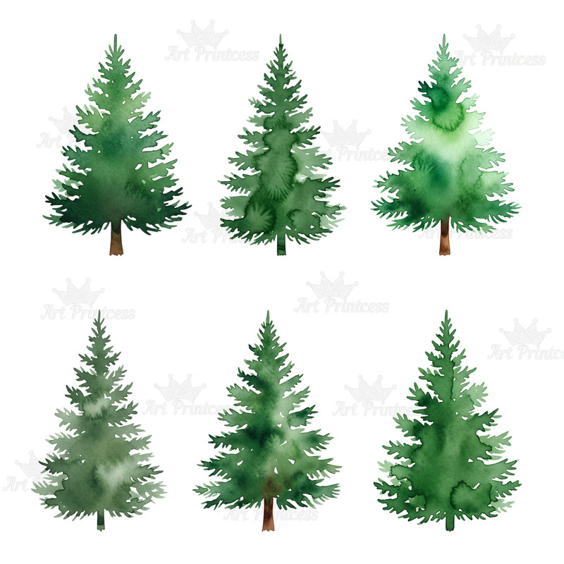 Forest Trees Clipart Bundle 45 Watercolor PNGs With Transparent Background Evergreen  Deciduous Tre 7