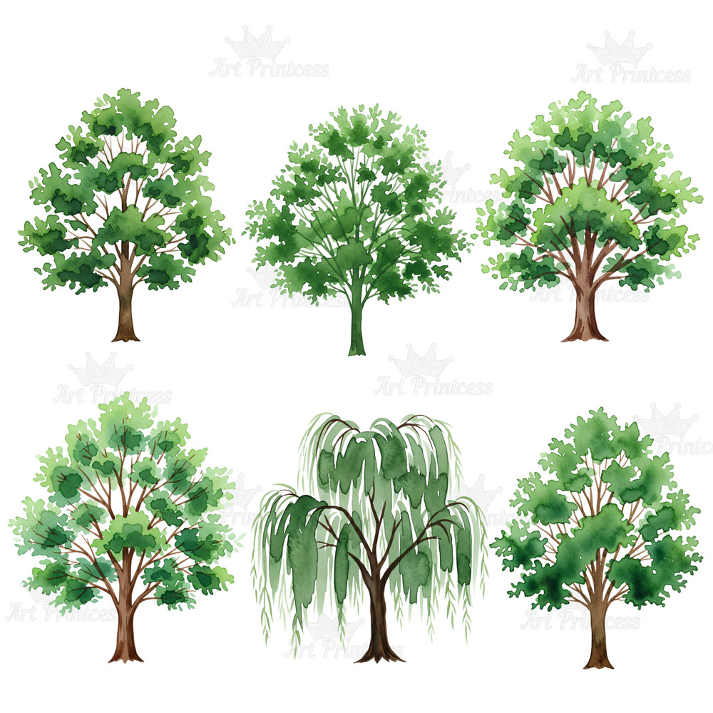 Forest Trees Clipart Bundle 45 Watercolor PNGs With Transparent Background Evergreen  Deciduous Tre 8