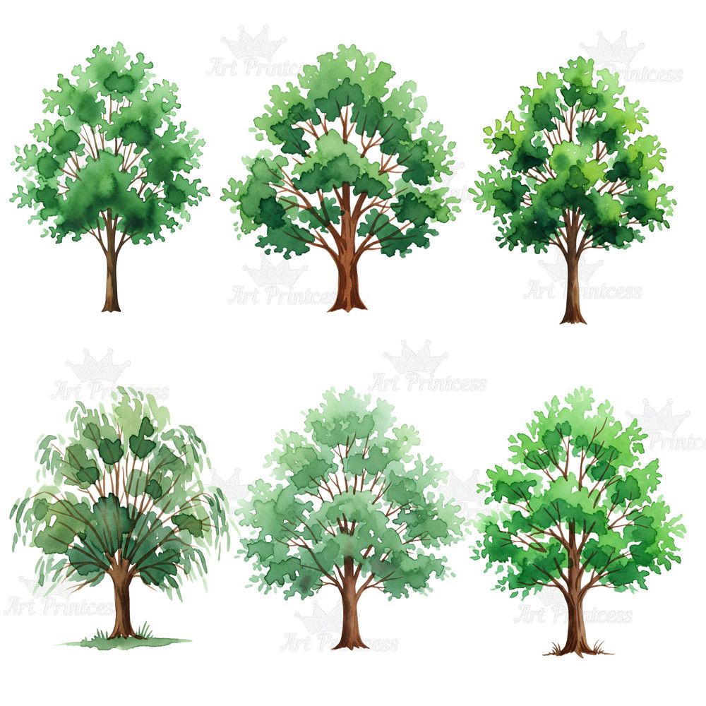 Forest Trees Clipart Bundle 45 Watercolor PNGs With Transparent Background Evergreen  Deciduous Tre 9