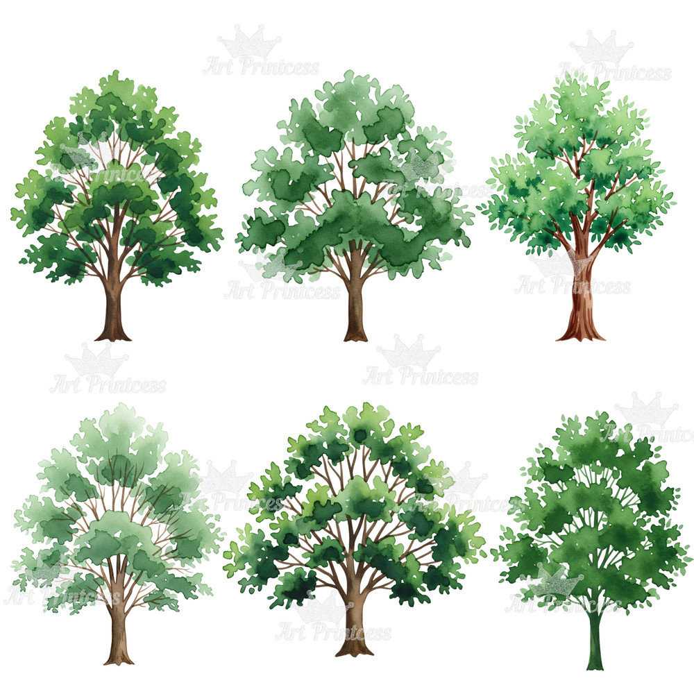 Forest Trees Clipart Bundle 45 Watercolor PNGs With Transparent Background Evergreen  Deciduous Tre 6