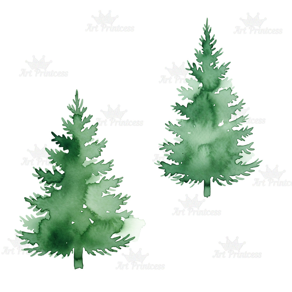 Forest Trees Clipart Bundle 45 Watercolor PNGs With Transparent Background Evergreen  Deciduous Tre 8