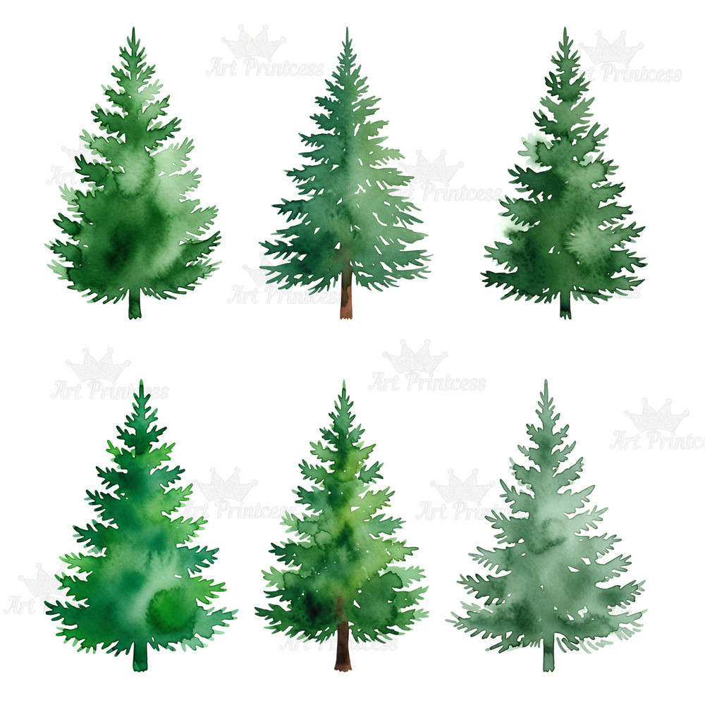 Forest Trees Clipart Bundle 45 Watercolor PNGs With Transparent Background Evergreen  Deciduous Tre 11
