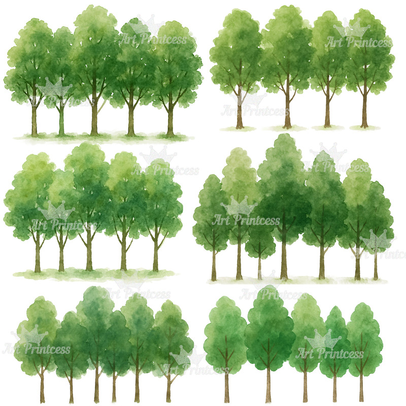 Forest Trees Borders Clipart Bundle Watercolor Transparent Background Woodland Landscape Evergreen 1
