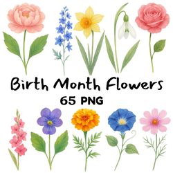 birth month flowers clipart png bundle watercolor floral pngs with transparent background digital download for printing