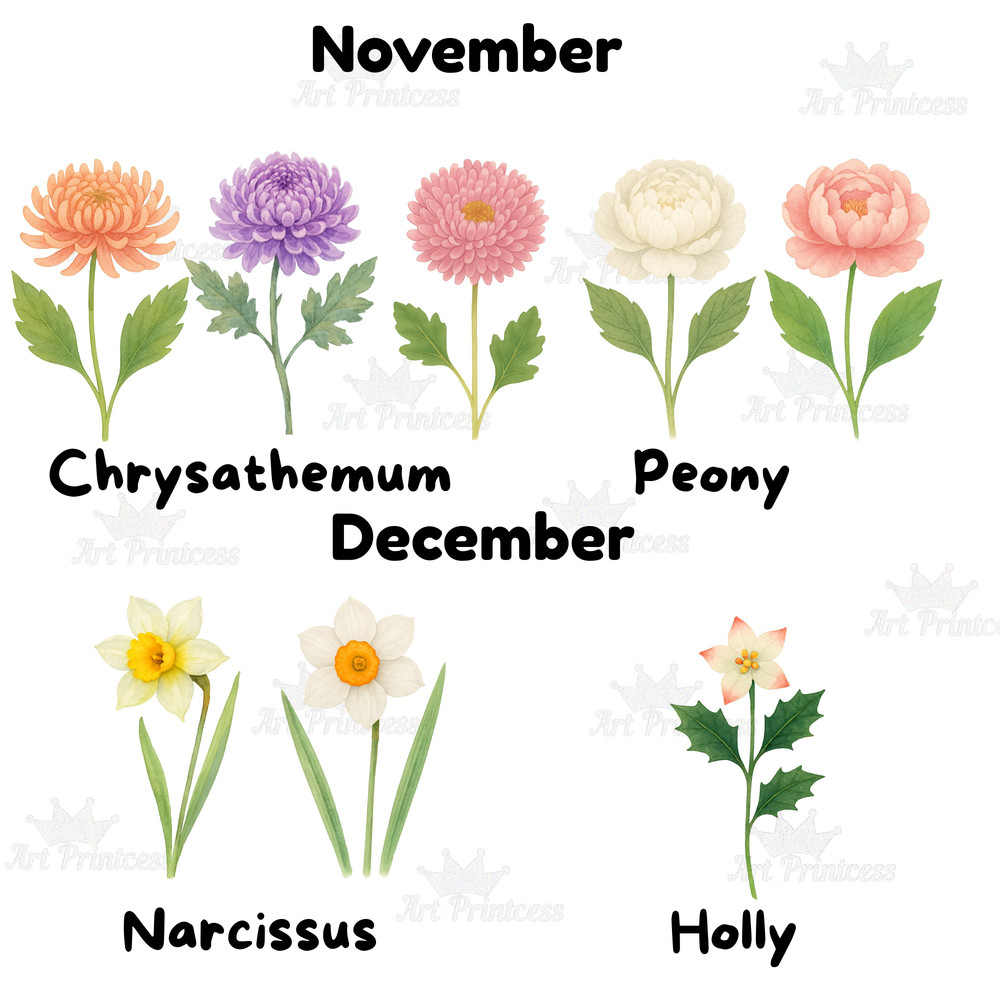 Birth Month Flowers Clipart PNG Bundle Watercolor Floral PNG Transparent Background Digital Downloa 7
