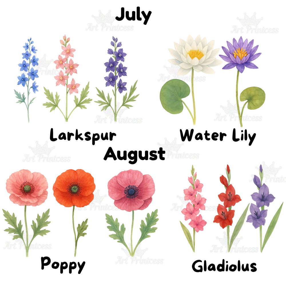 Birth Month Flowers Clipart PNG Bundle Watercolor Floral PNG Transparent Background Digital Downloa 5