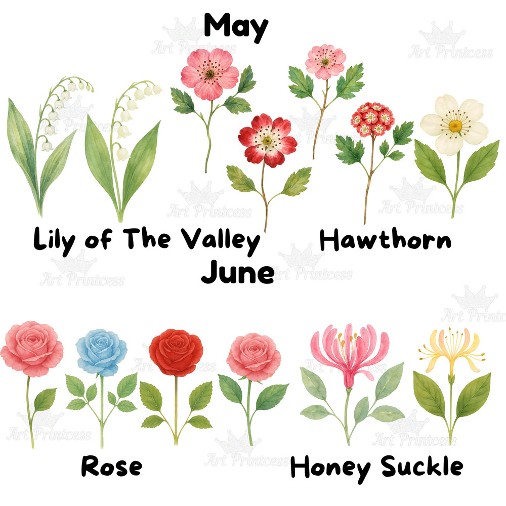Birth Month Flowers Clipart PNG Bundle Watercolor Floral PNG Transparent Background Digital Downloa 4