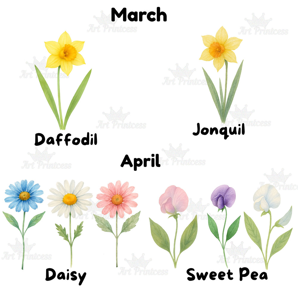 Birth Month Flowers Clipart PNG Bundle Watercolor Floral PNG Transparent Background Digital Downloa 3