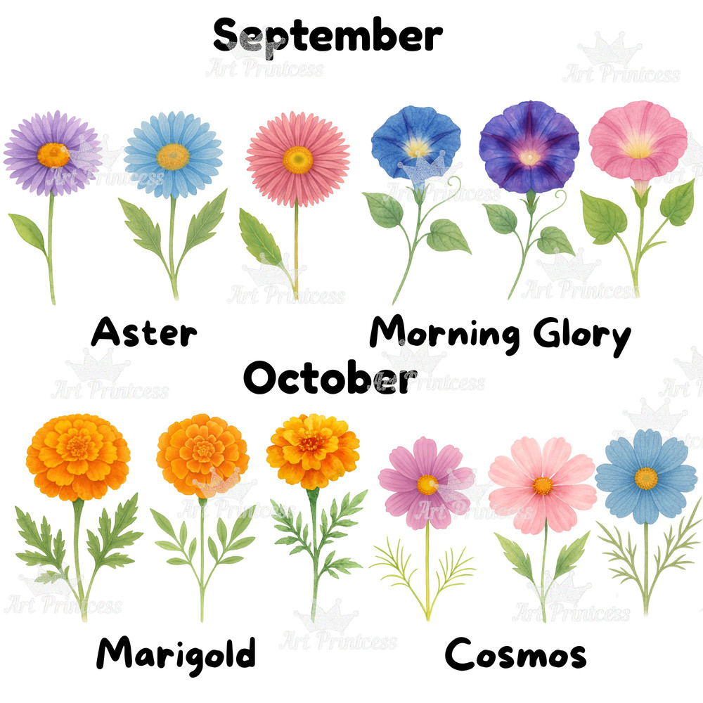 Birth Month Flowers Clipart PNG Bundle Watercolor Floral PNG Transparent Background Digital Downloa 6