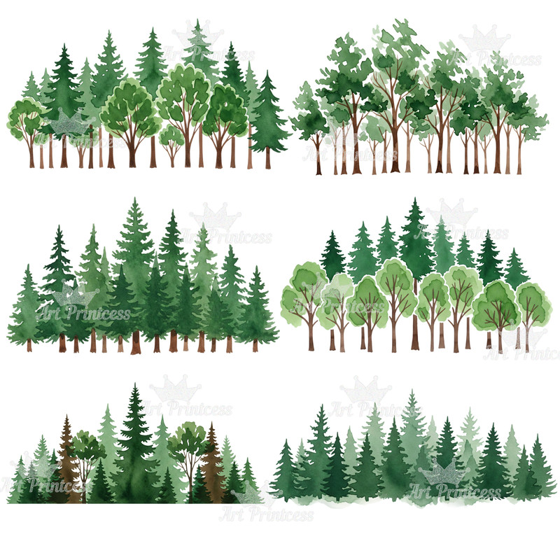 Forest Borders Moon Phases Clipart Bundle Watercolor Transparent Background Woodland Celestial Lan 8