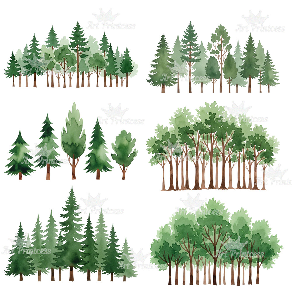 Forest Borders Moon Phases Clipart Bundle Watercolor Transparent Background Woodland Celestial Lan 5