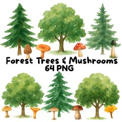 forest trees & mushrooms clipart bundle watercolor png transparent background woodland fungi nature elements download