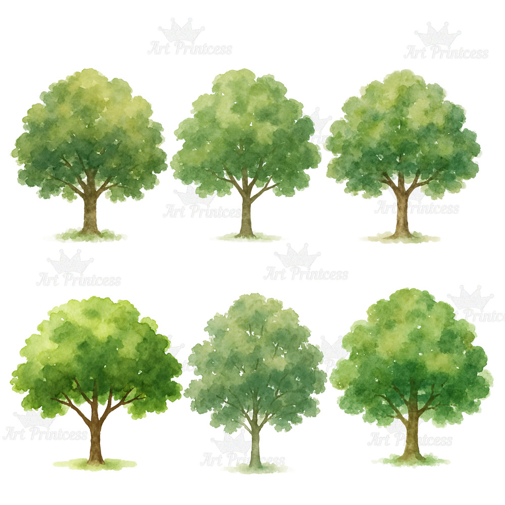 Forest Trees Mushrooms Clipart Bundle Watercolor PNG Transparent Background Woodland Fungi Nature 11