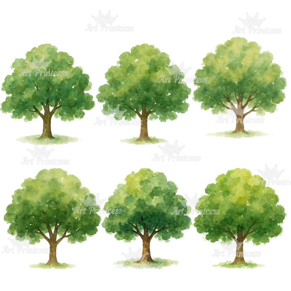 Forest Trees Mushrooms Clipart Bundle Watercolor PNG Transparent Background Woodland Fungi Nature 12