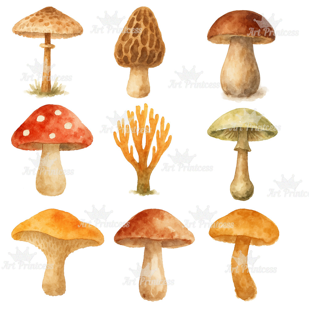 Forest Trees Mushrooms Clipart Bundle Watercolor PNG Transparent Background Woodland Fungi Nature 1