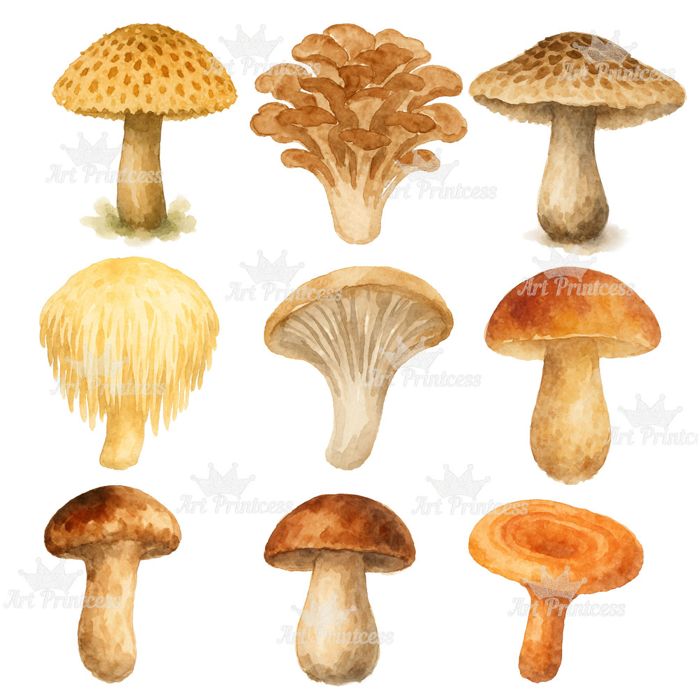Forest Trees Mushrooms Clipart Bundle Watercolor PNG Transparent Background Woodland Fungi Nature 3