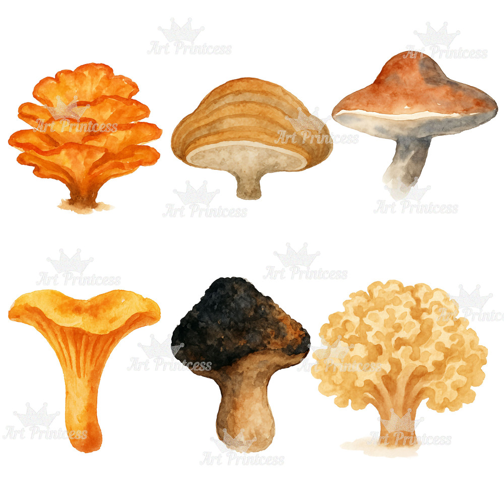 Forest Trees Mushrooms Clipart Bundle Watercolor PNG Transparent Background Woodland Fungi Nature 5
