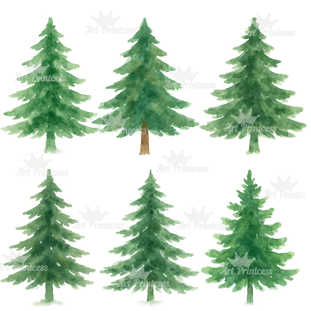 Forest Trees Mushrooms Clipart Bundle Watercolor PNG Transparent Background Woodland Fungi Nature 9