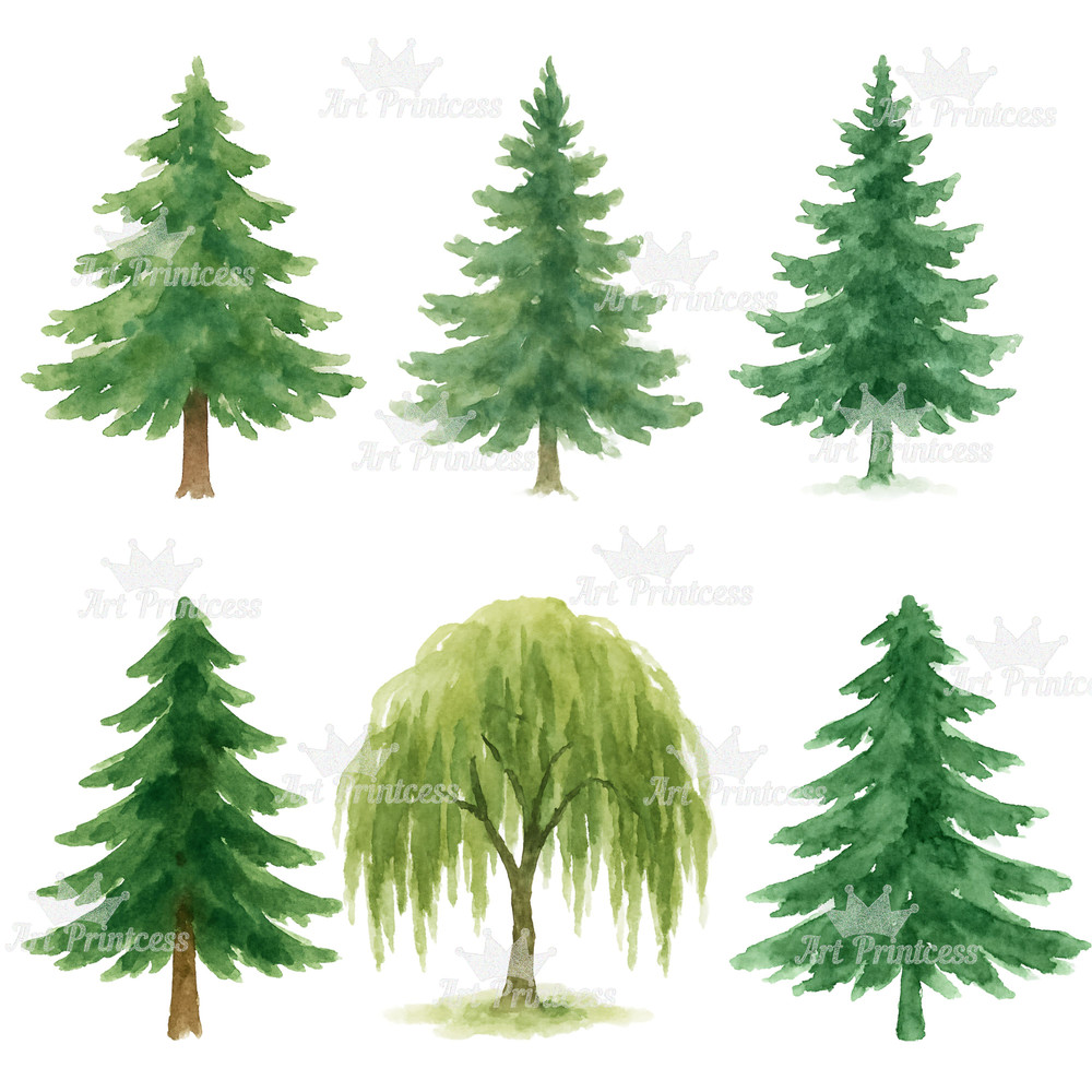 Forest Trees Mushrooms Clipart Bundle Watercolor PNG Transparent Background Woodland Fungi Nature 11