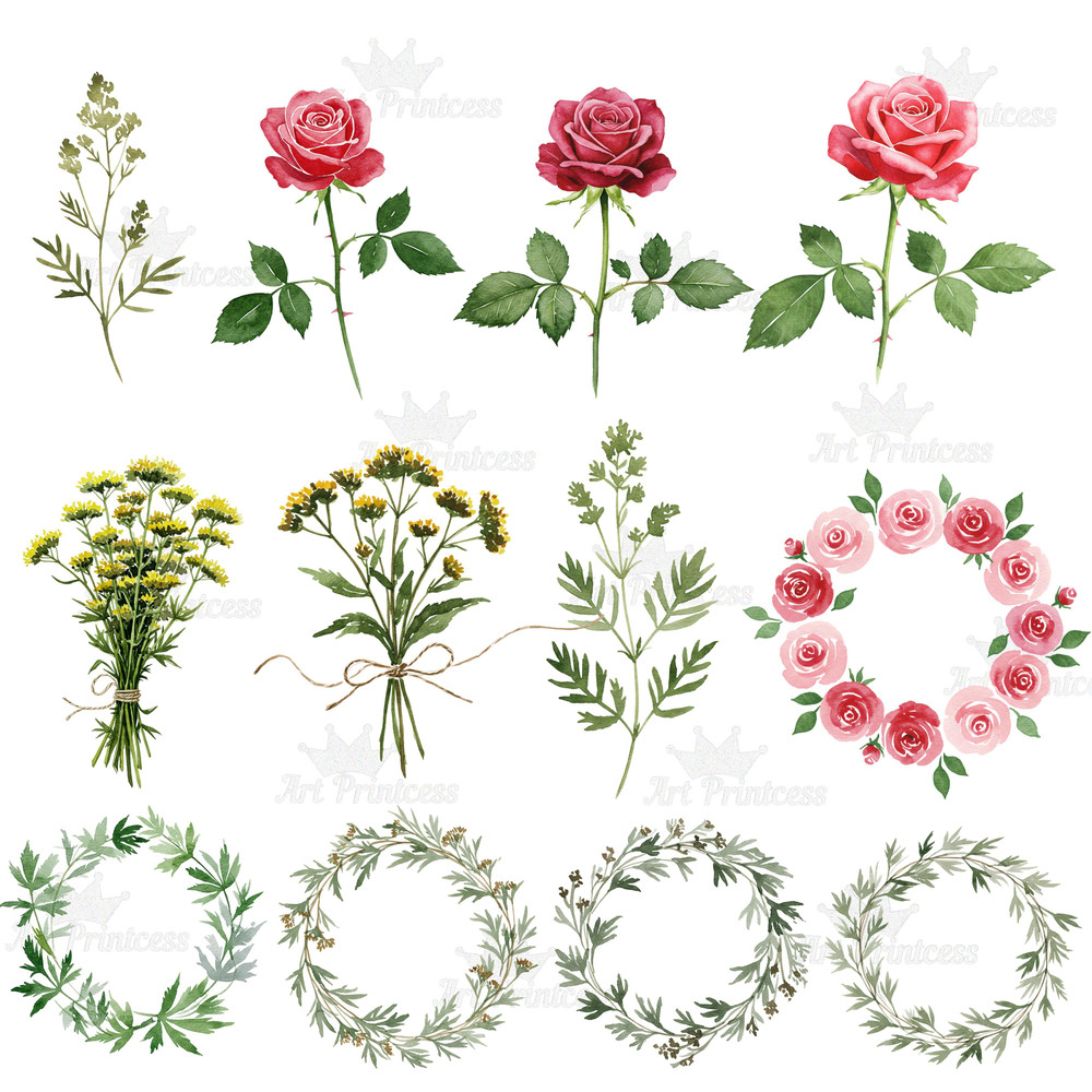 Summer Solstice Herbs Clipart Bundle Botanical Watercolor Clipart Summer Flowers  Herbs Printables 3