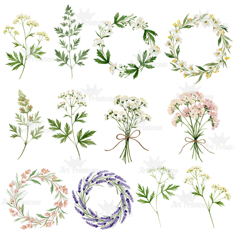 Summer Solstice Herbs Clipart Bundle Botanical Watercolor Clipart Summer Flowers  Herbs Printables 4
