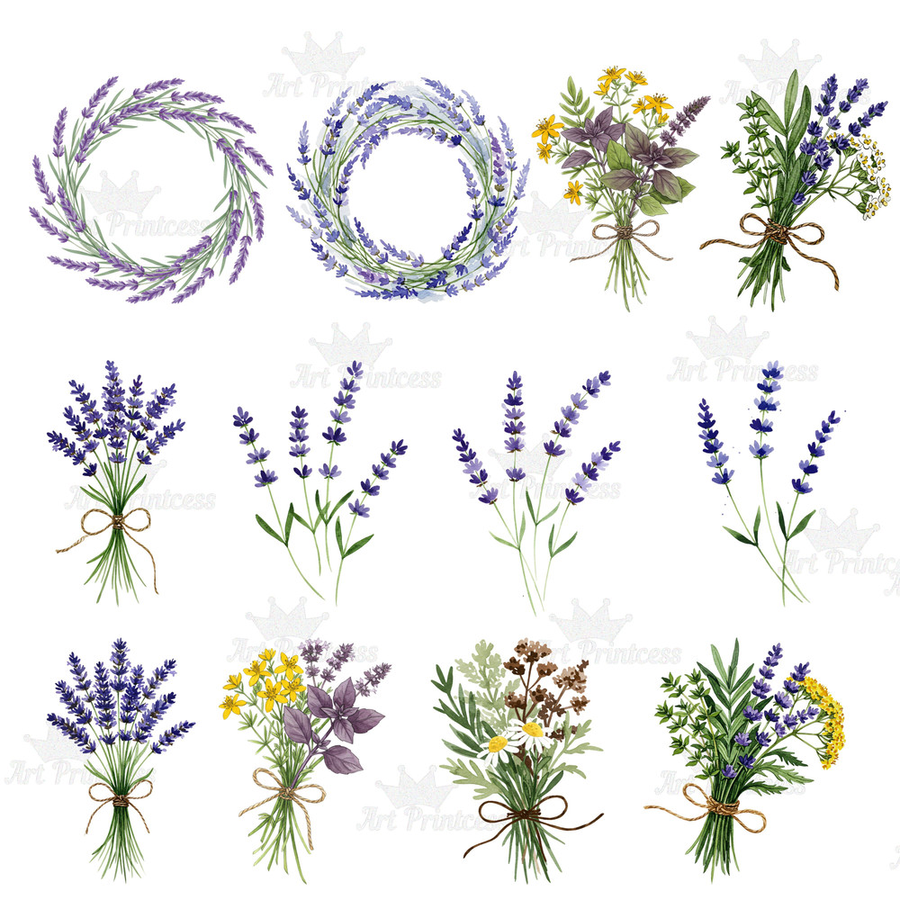 Summer Solstice Herbs Clipart Bundle Botanical Watercolor Clipart Summer Flowers  Herbs Printables 5