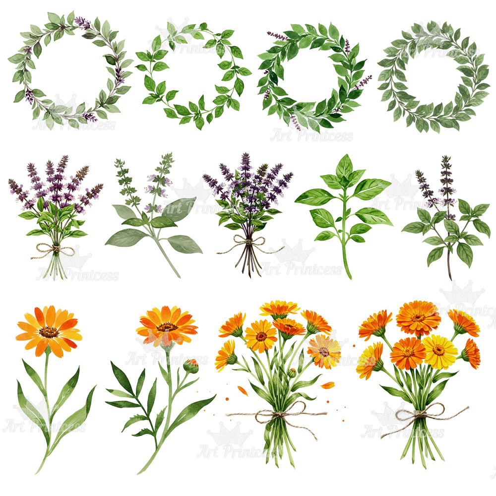 Summer Solstice Herbs Clipart Bundle Botanical Watercolor Clipart Summer Flowers  Herbs Printables 7