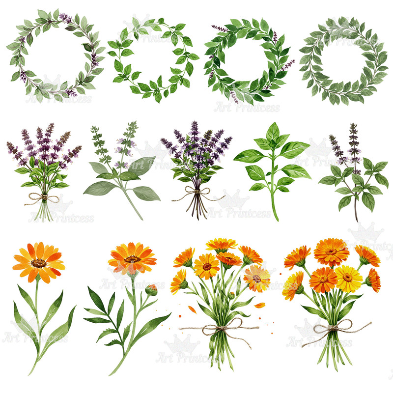 Summer Solstice Herbs Clipart Bundle Botanical Watercolor Clipart Summer Flowers  Herbs Printables 7