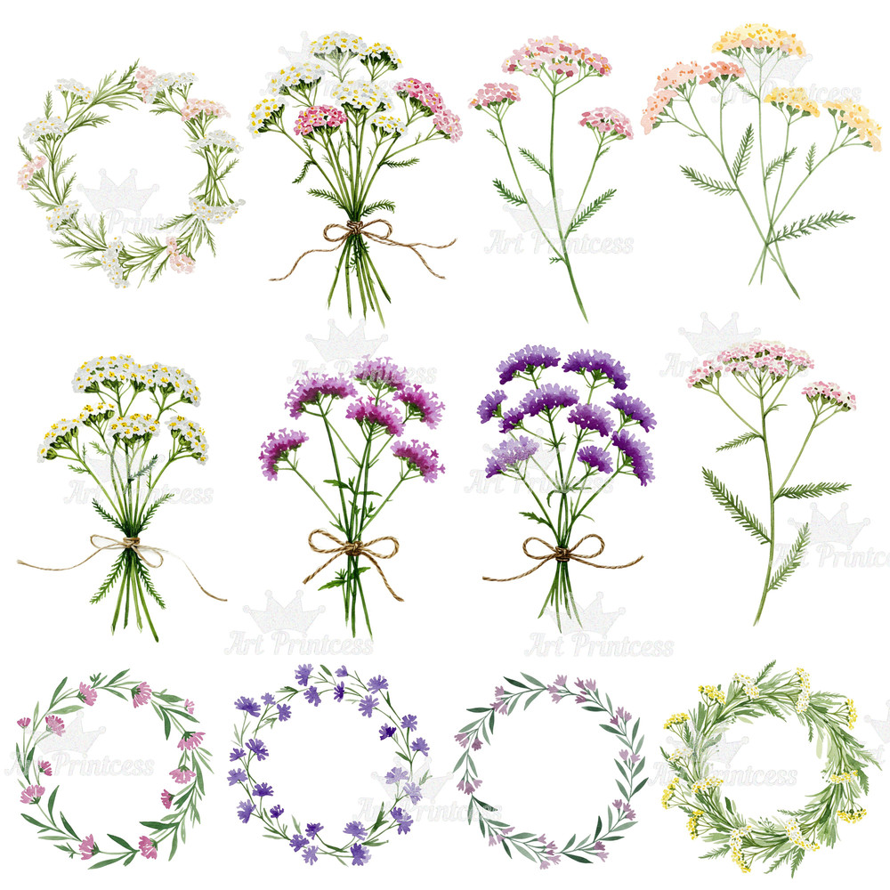 Summer Solstice Herbs Clipart Bundle Botanical Watercolor Clipart Summer Flowers  Herbs Printables 8