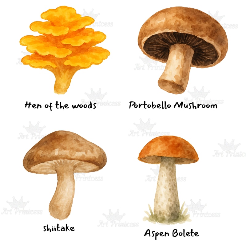 Edible Mushroom Clipart Bundle 64 Watercolor PNG Files Foraging Fungi Art Botanical Kitchen Decor P 6