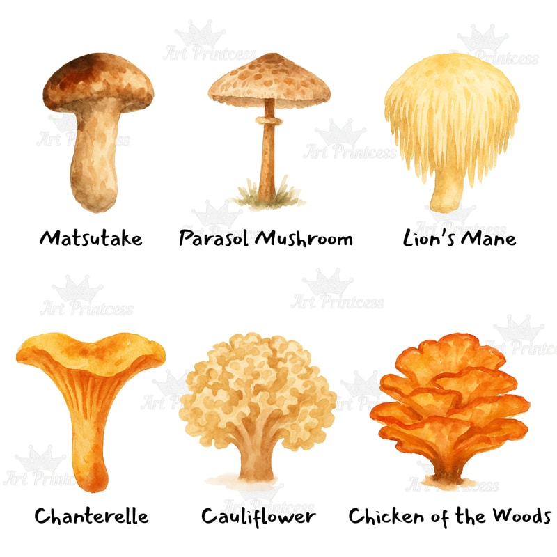 Edible Mushroom Clipart Bundle 64 Watercolor PNG Files Foraging Fungi Art Botanical Kitchen Decor P 10