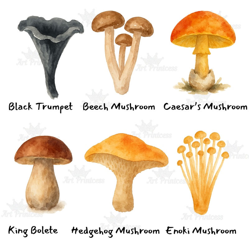 Edible Mushroom Clipart Bundle 64 Watercolor PNG Files Foraging Fungi Art Botanical Kitchen Decor P 11