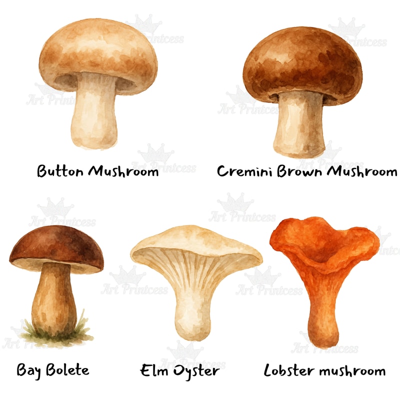 Edible Mushroom Clipart Bundle 64 Watercolor PNG Files Foraging Fungi Art Botanical Kitchen Decor P 13