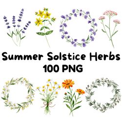 summer solstice herbs clipart bundle botanical watercolor clipart summer flowers & herbs sublimation