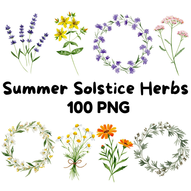 Summer Solstice Herbs Clipart Bundle Botanical Watercolor Clipart Summer Flowers  Herbs Digital Dow 0
