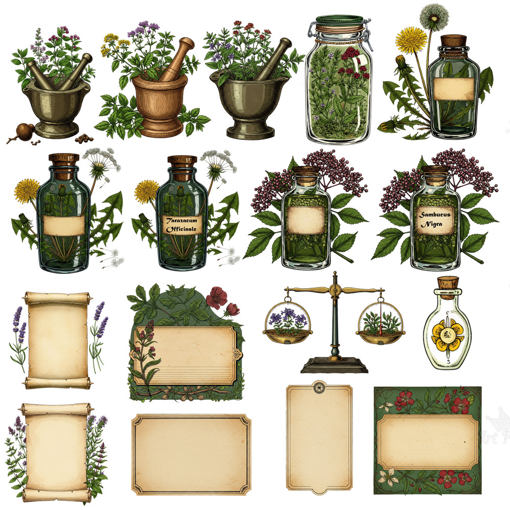 Vintage Apothecary Clipart Bundle Antique Herbalist Alchemist Clipart Pack Digital Download For Dar 4