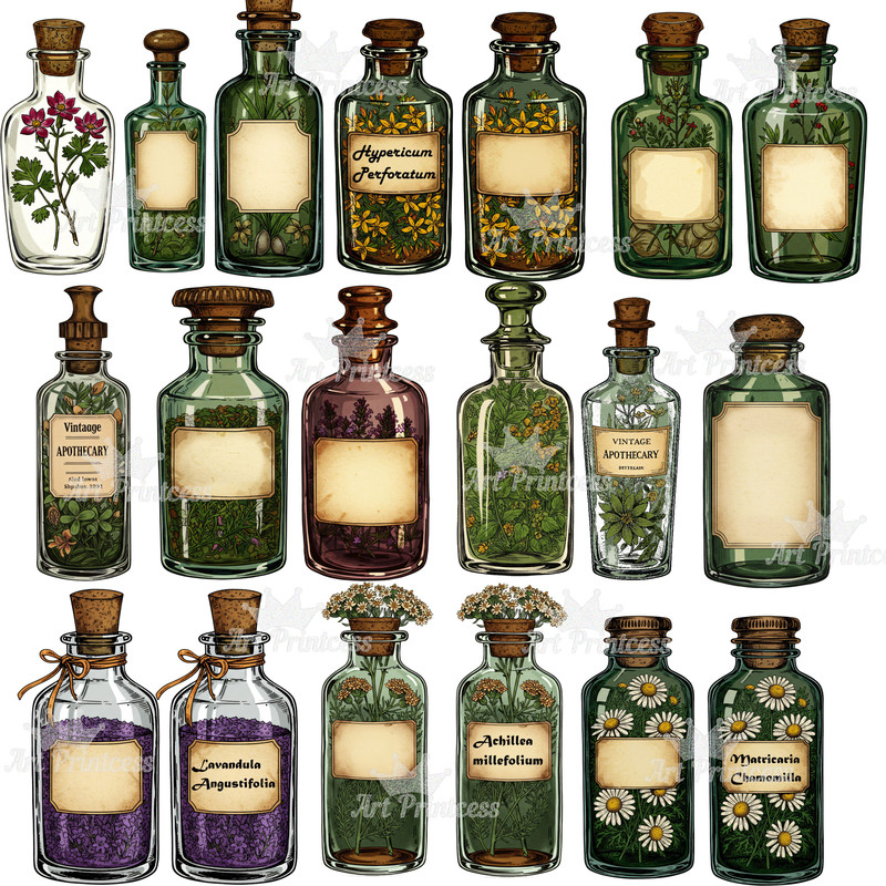Vintage Apothecary Clipart Bundle Antique Herbalist Alchemist Clipart Pack Digital Download For Dar 5