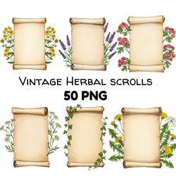 kitchen herb chart digital print vintage botanical poster apothecary sublimation files cottagecore kitchen wall art