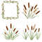 Cattail Grass Watercolor Clipart PNG Bundle Rustic Wetland Botanical Art Wild Grass Reeds Digital D