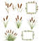 Cattail Grass Watercolor Clipart PNG Bundle Rustic Wetland Botanical Art Wild Grass Reeds Digital D