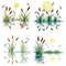 Cattail Grass Watercolor Clipart PNG Bundle Rustic Wetland Botanical Art Wild Grass Reeds Digital D